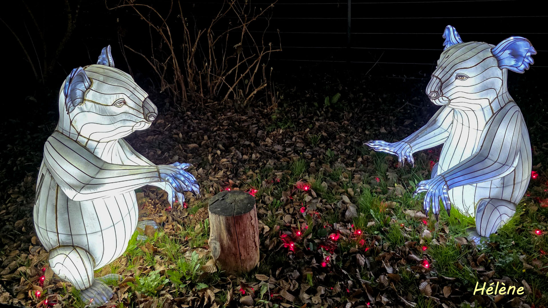 THOIRY -Illumination ,  Lumières sauvages 2025-2026